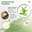 2x1 Mascarilla Stick de Té Verde – Limpieza profunda donde los jabones no llegan